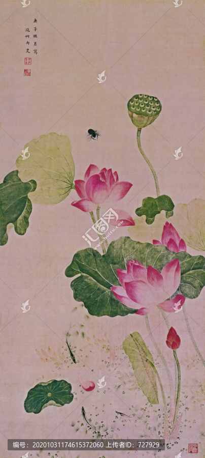吳應(yīng)貞,荷花圖