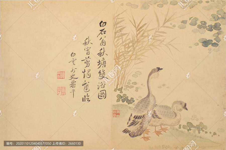 惲壽平秋塘雙浴