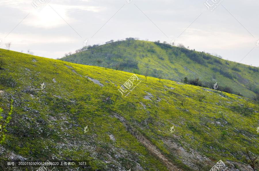 滁州丰山岭