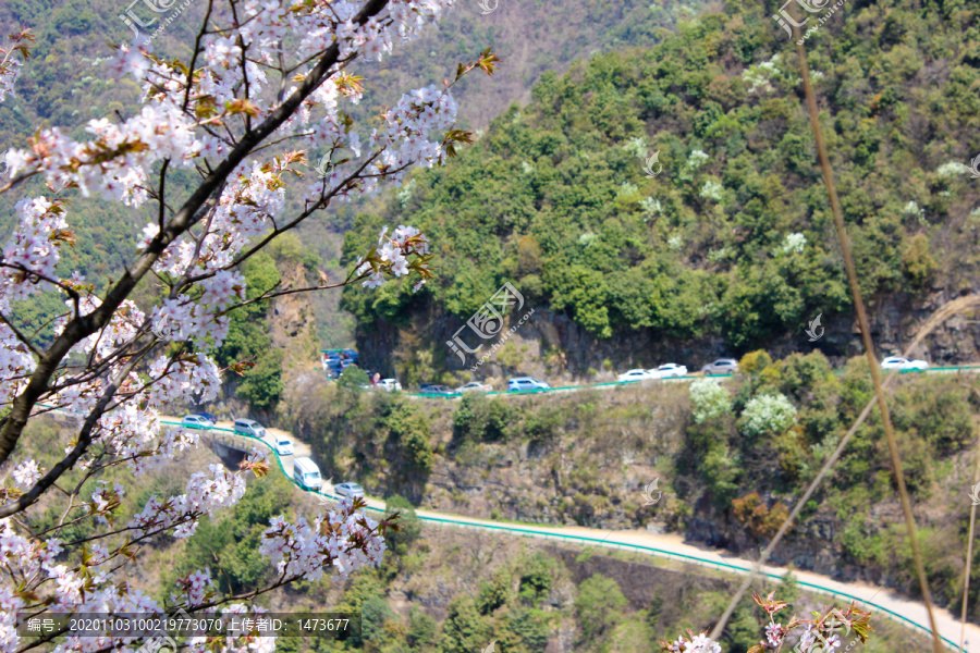 桃岭盘山公路