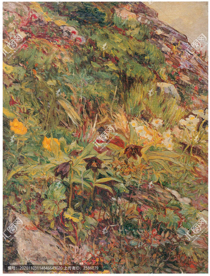 吉田博高山植物
