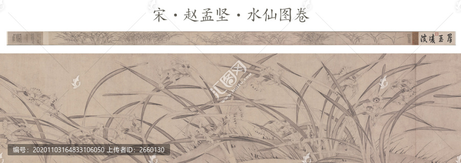 趙孟堅(jiān)水仙圖卷