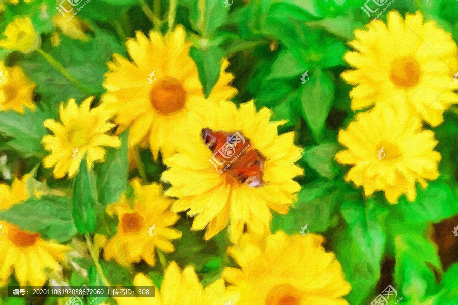 蝶戀花
