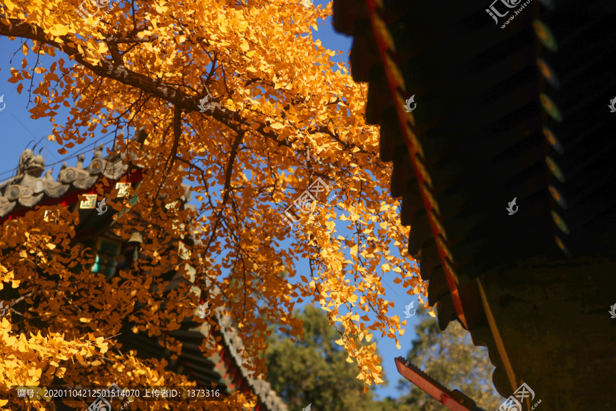 红螺寺秋色