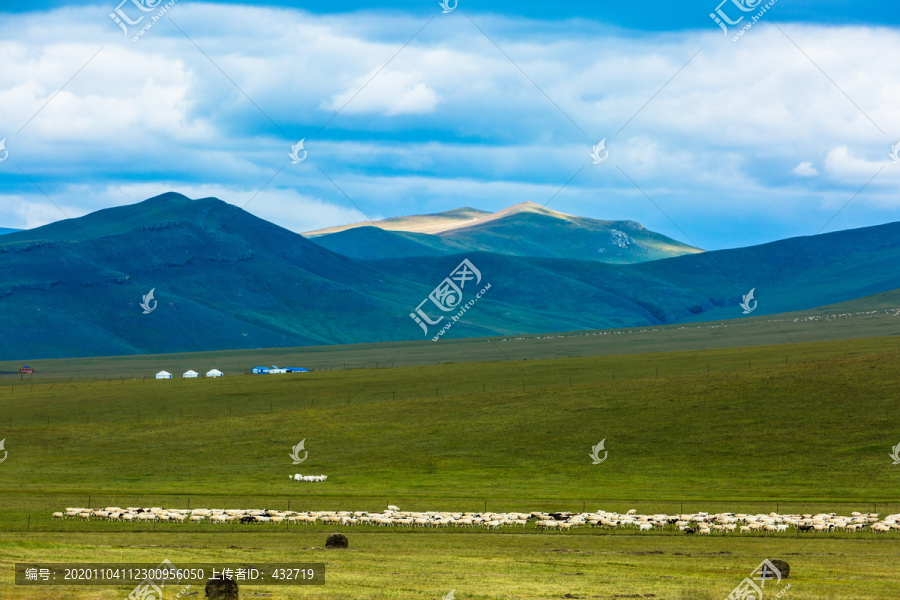 蒙古包羊群大草原