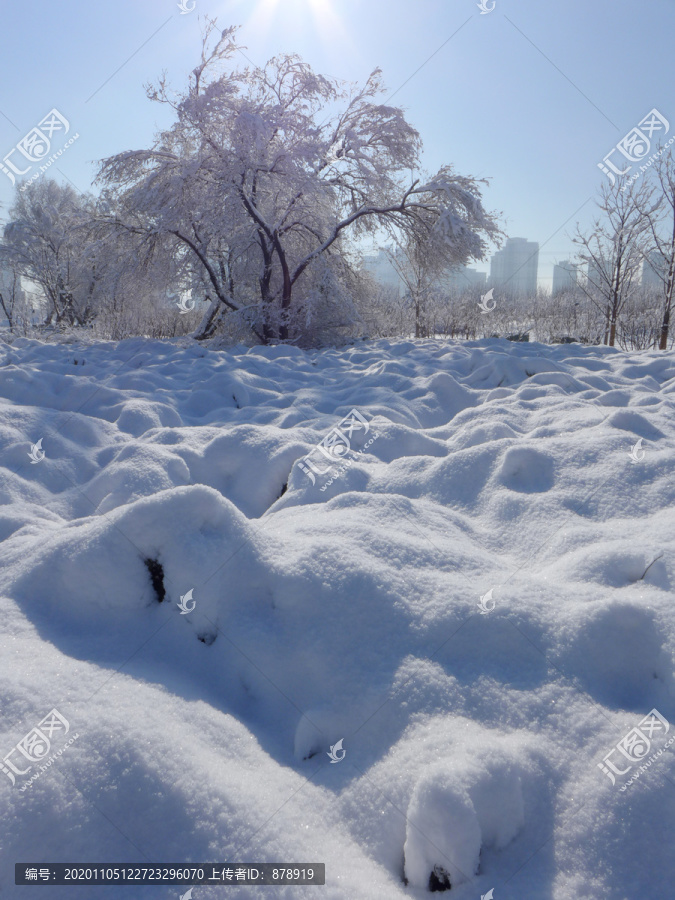 雪景