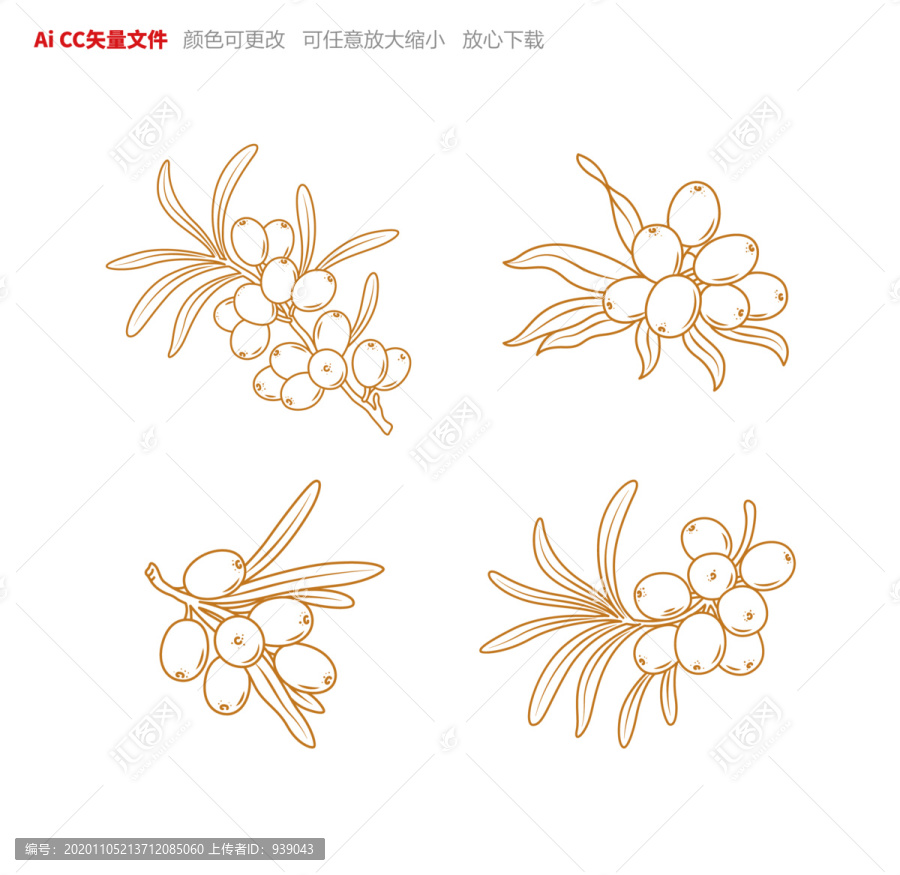 沙棘線稿