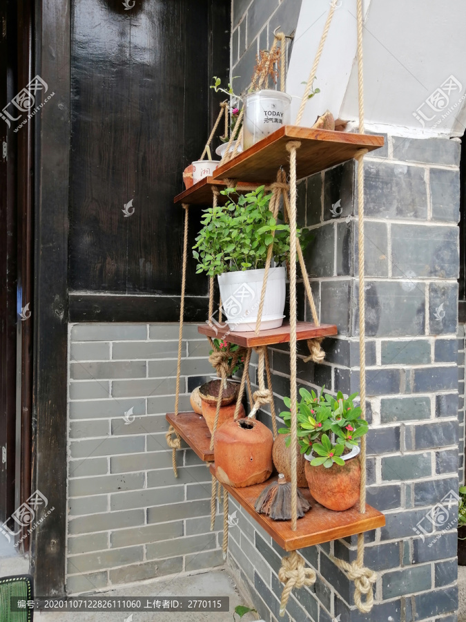花架盆栽