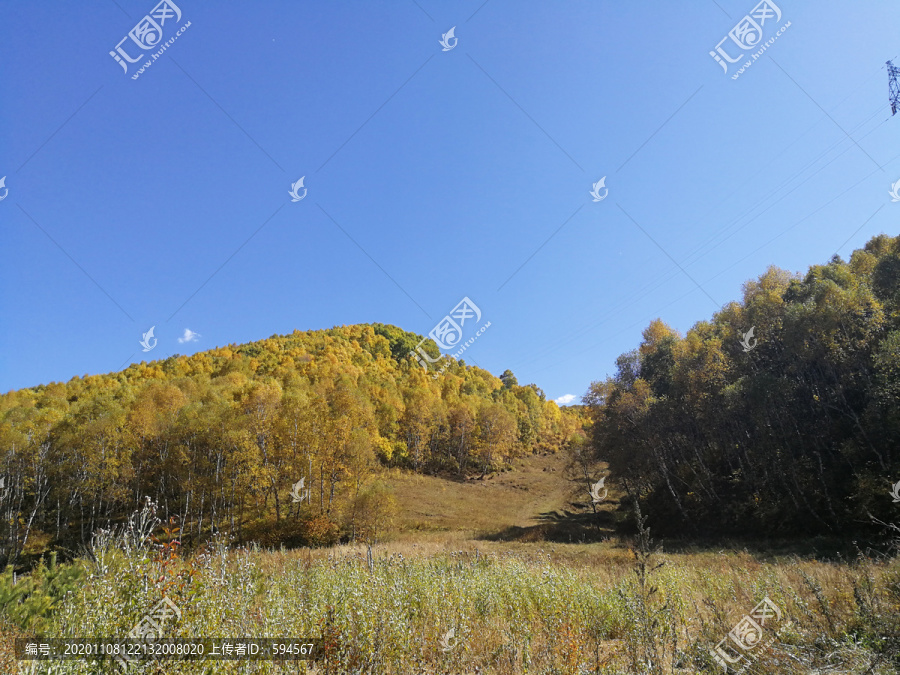 风景