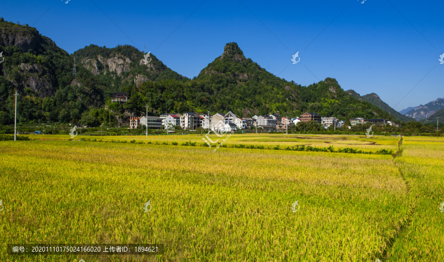 田園風(fēng)光