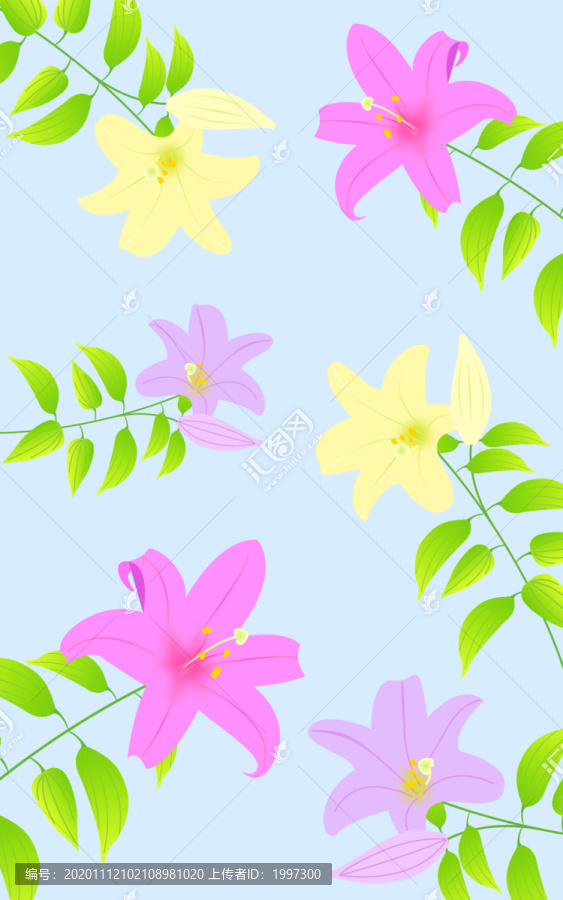 百合花背景素材