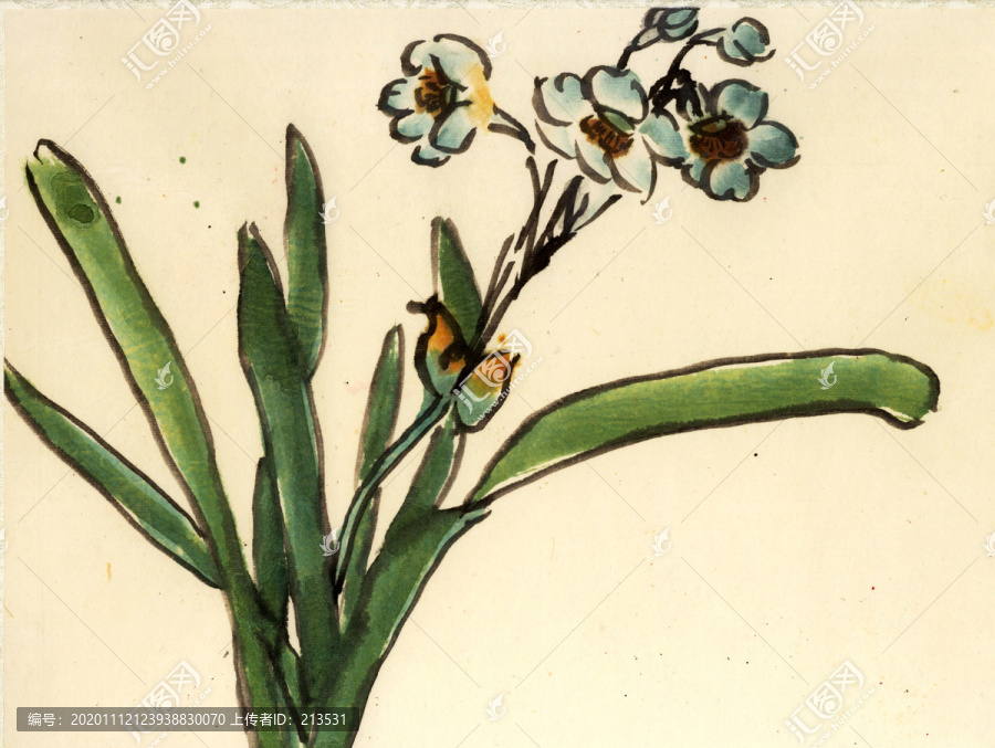 水仙花國畫