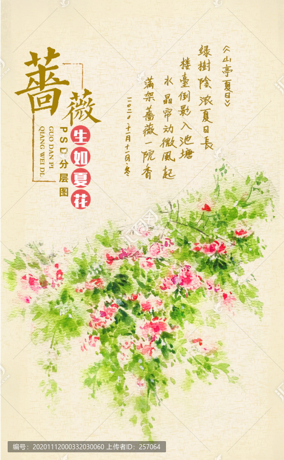薔薇