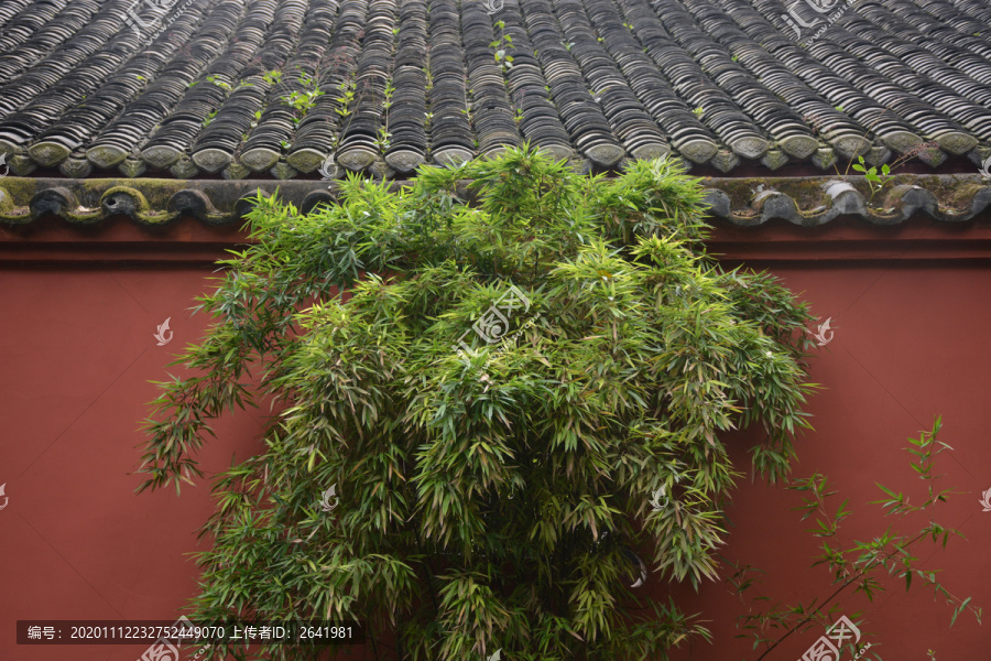 红墙竹子与瓦屋顶