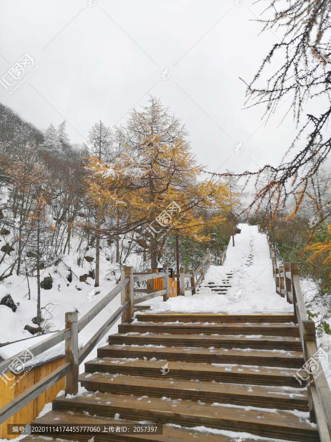 冬天雪景