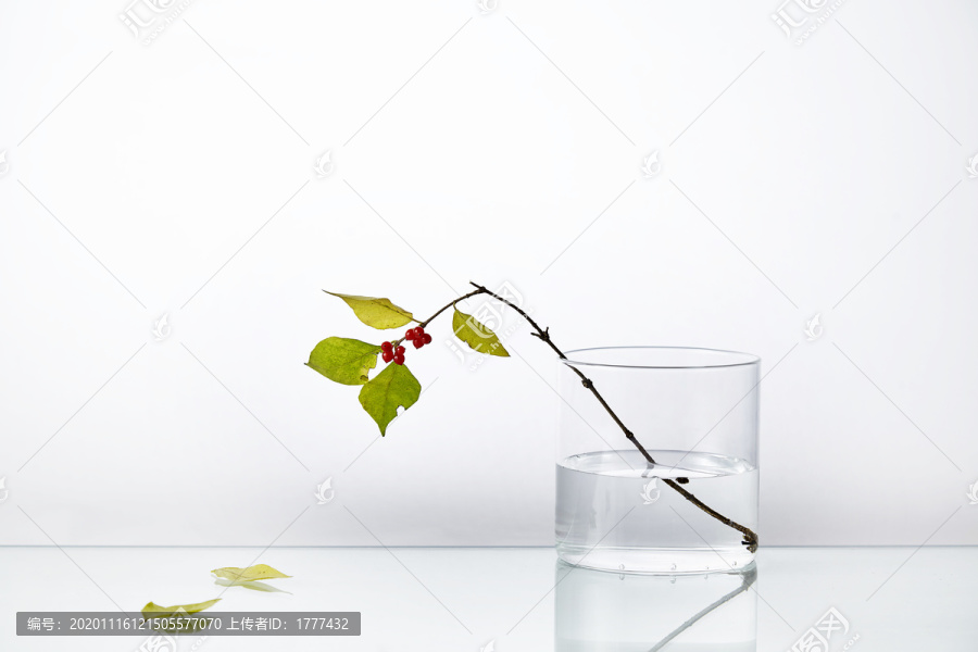 白色背景下透明杯子里插着的树枝