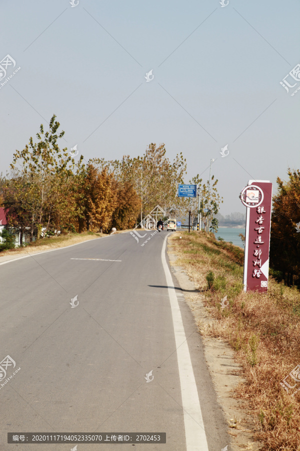 银杏古道邳州路