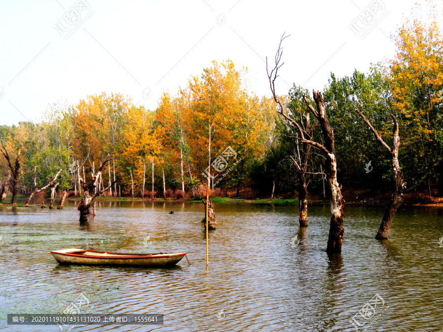 小船河流树林秋天