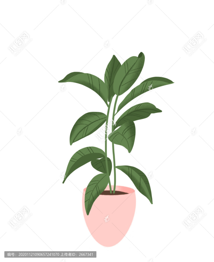 原創(chuàng)手繪綠色植物盆栽