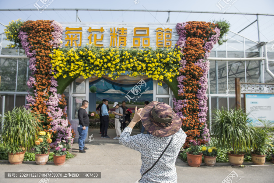 菊花精品园