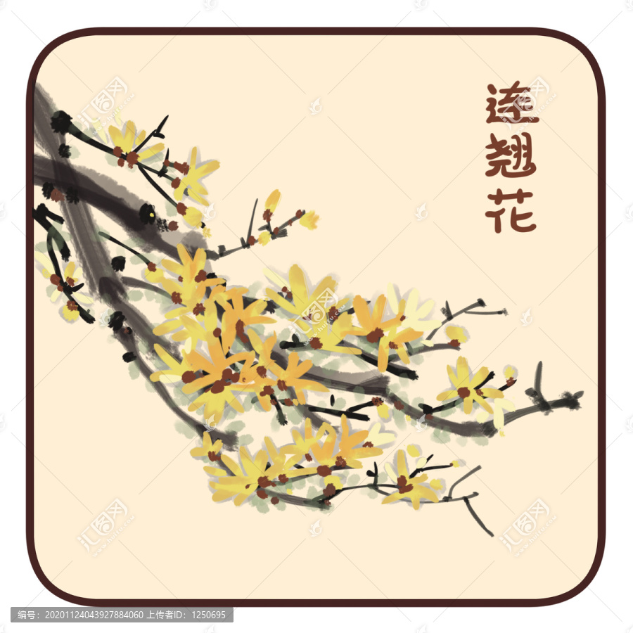 連翹花