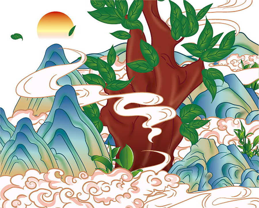 老樹白茶
