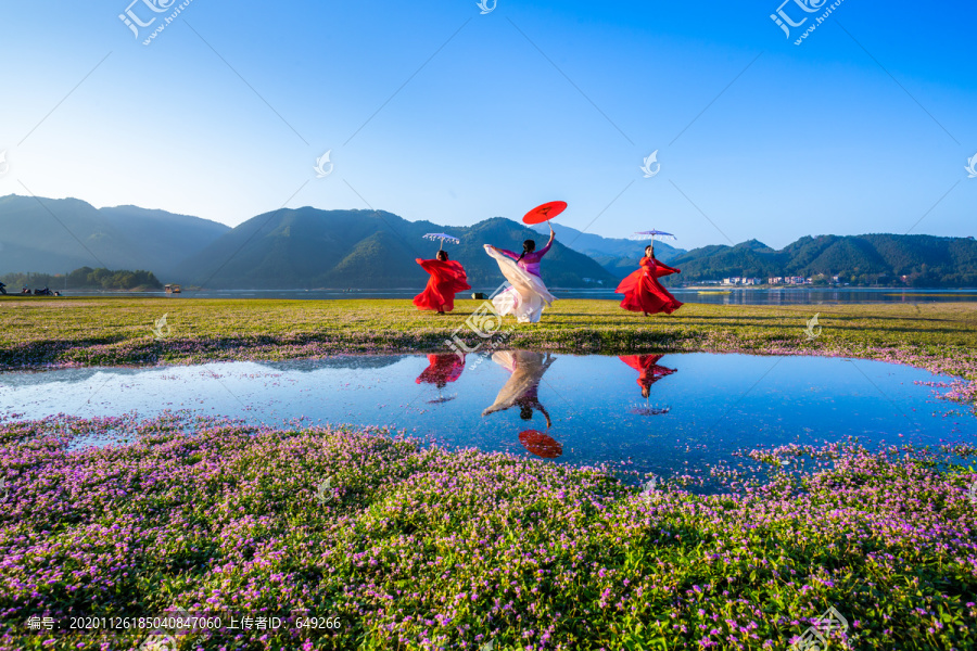 湿地花海的汉服舞蹈