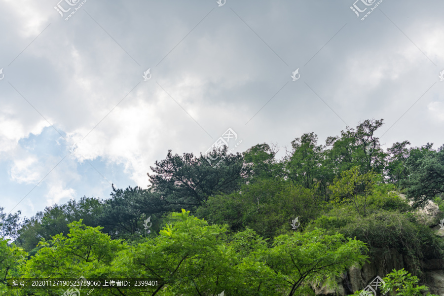 泰山风景