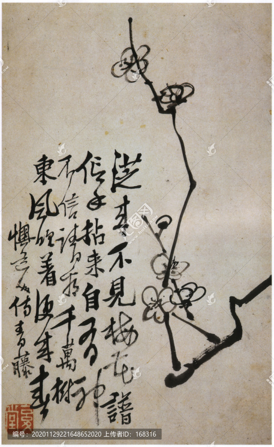 李鱓梅花圖