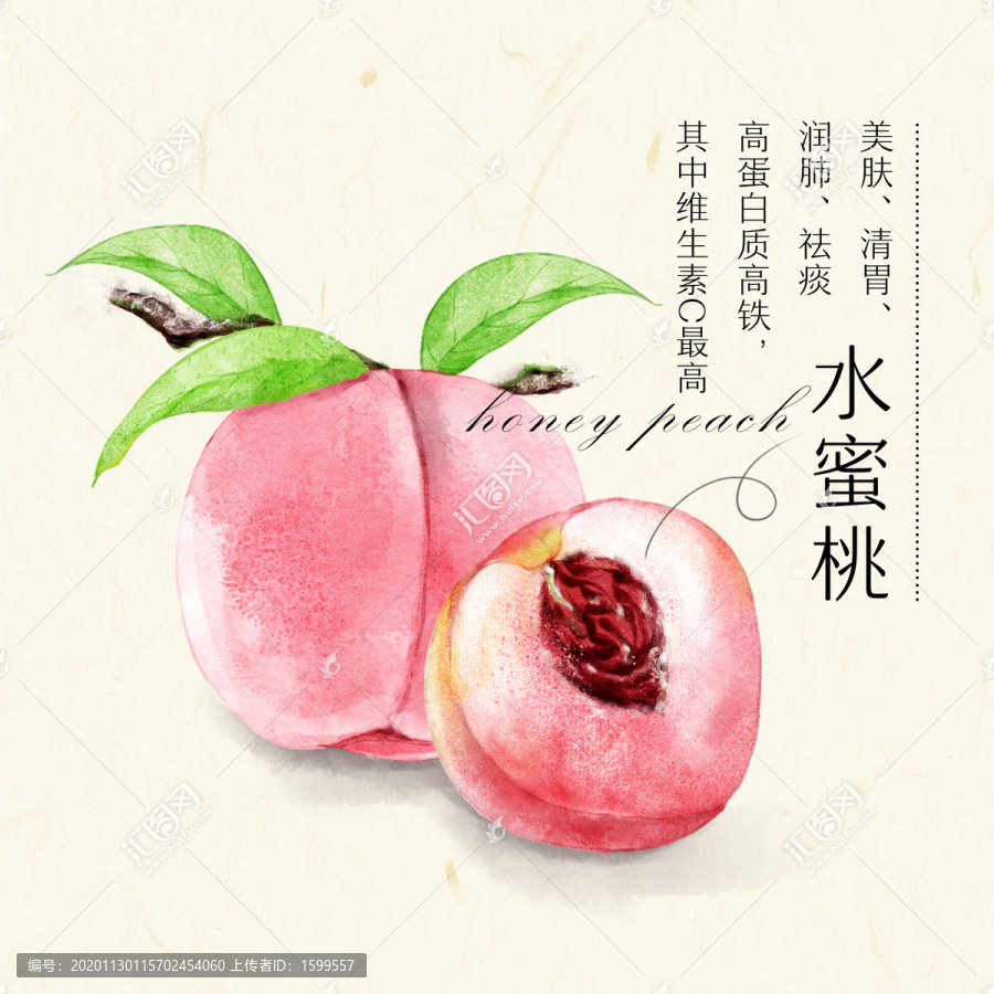 水蜜桃手繪插畫