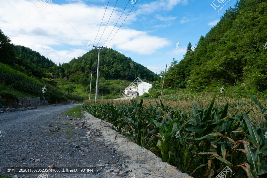 重庆巫山红椿土家族乡美丽风光