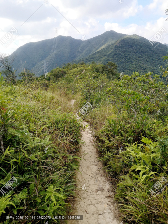 山脊小路