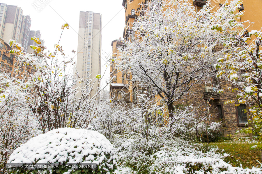 下雪