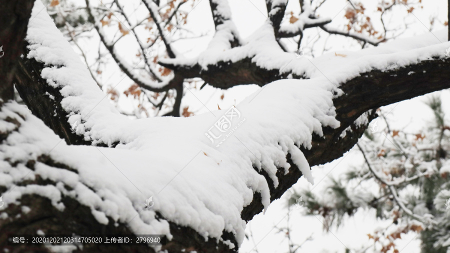 北京天坛公园雪景