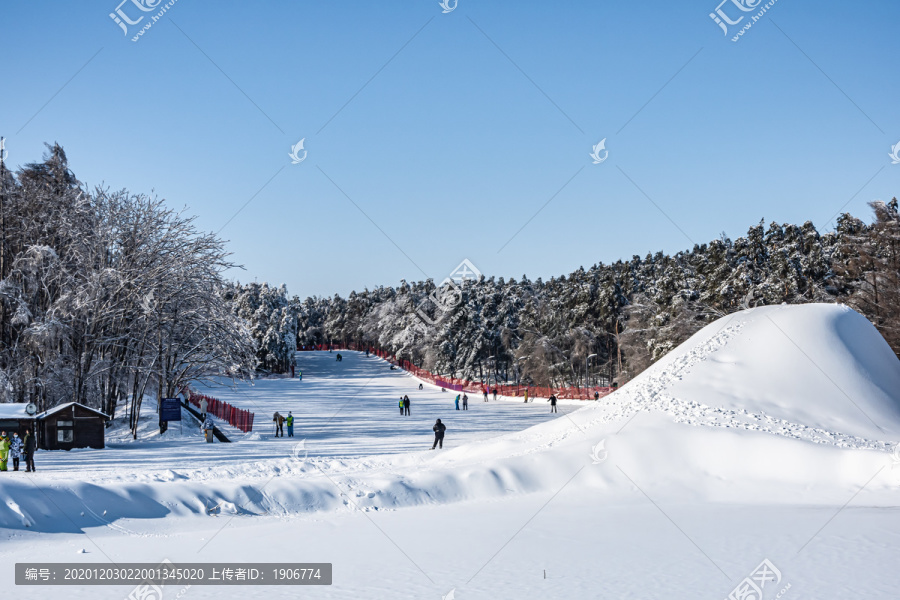 长春净月潭国家森林公园冬季雪景