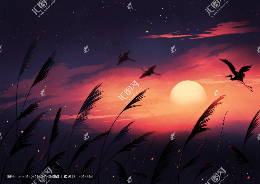 蘆葦灘風(fēng)景插畫