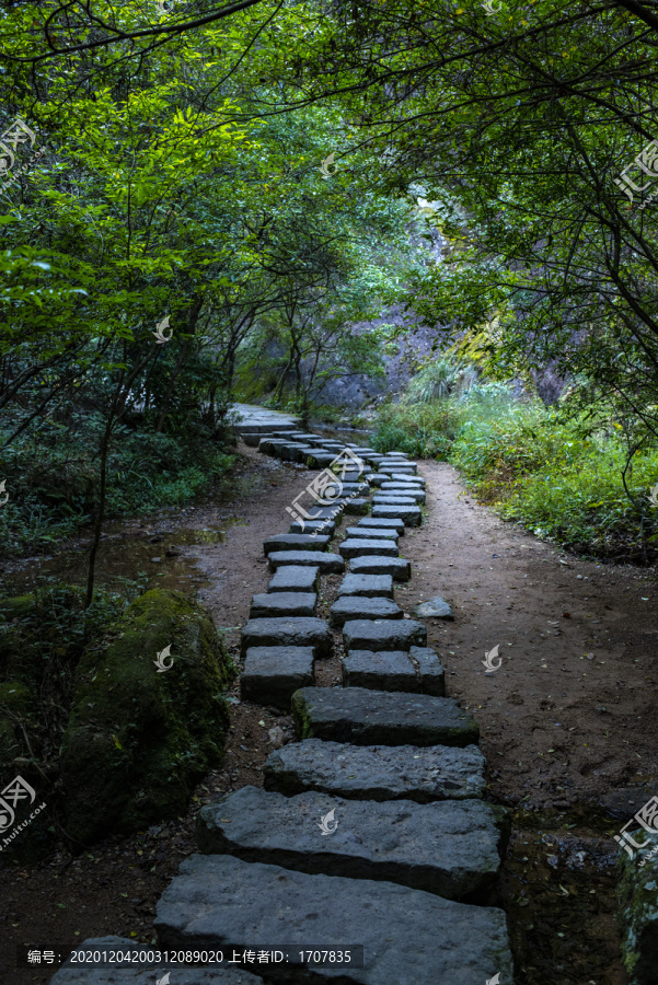 大红袍景区