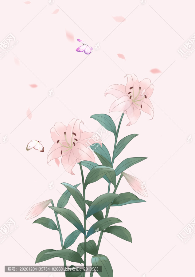 手繪百合