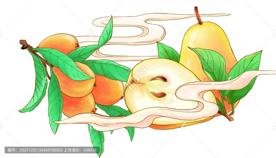 秋梨枇杷插畫