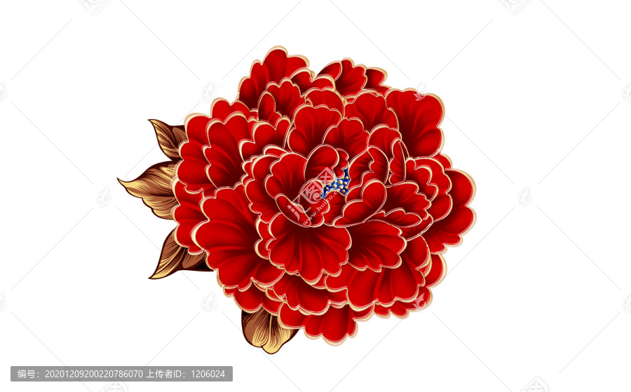 牡丹花