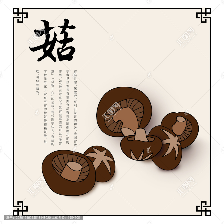 香菇食材插畫高端