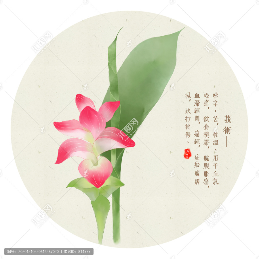 莪術(shù)
