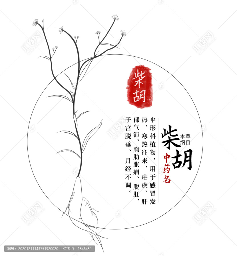 柴胡