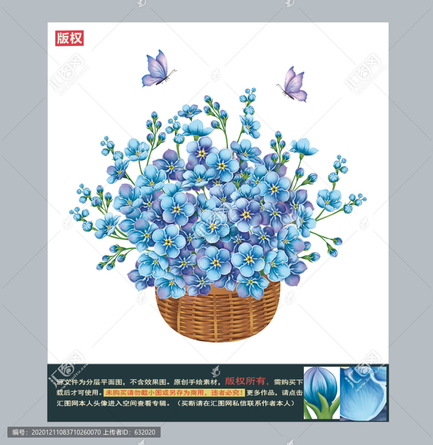 勿忘我鮮花圖片