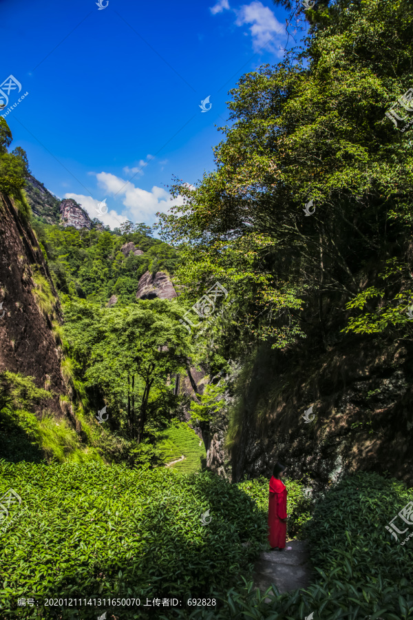 武夷山风光