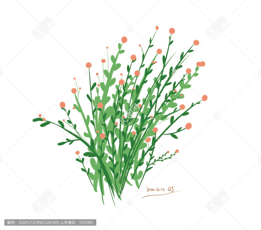 小花花
