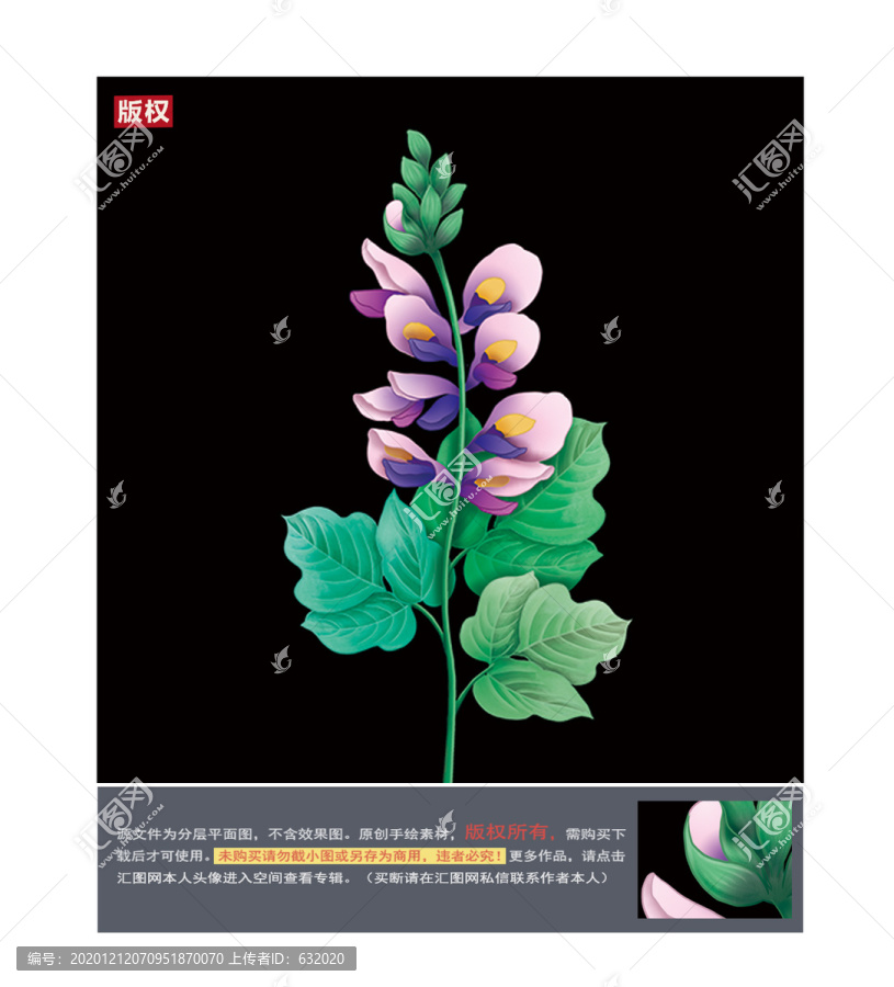 葛根花圖片