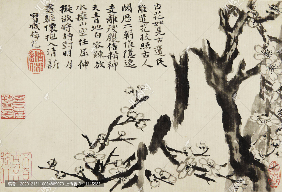 石濤梅花圖冊
