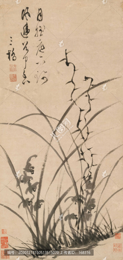 文彭墨蘭圖