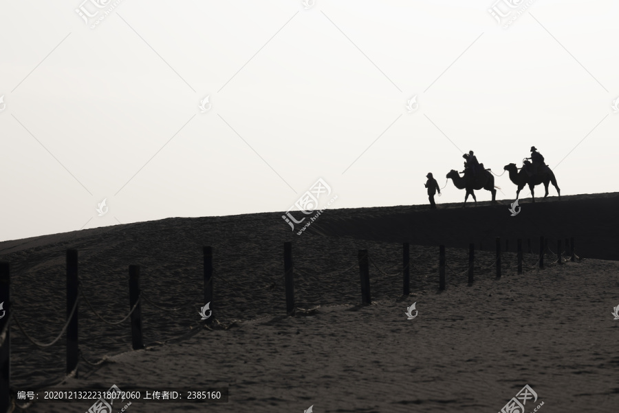 鸣沙山的骆驼
